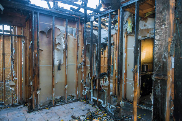 Professional Fire Damage Repair technician working in Alexandria, KY